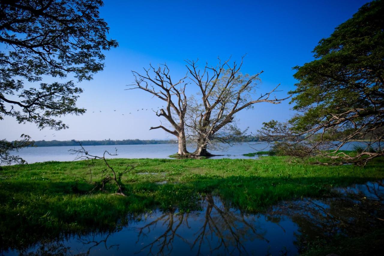Double Lake View Tissa & Safari ทิซซามาฮารามา ภายนอก รูปภาพ